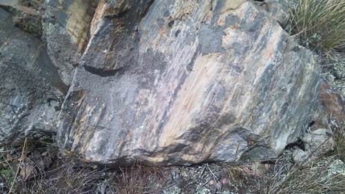 Гигантские зелёные валуны для ландшафтного дизайна весом более 5 тонн купить в Верхней Салде