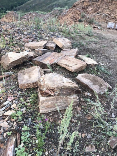 Плитняк кора дерева 50-100мм для пошаговых дорожек купить в Верхней Салде